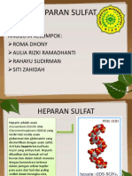 Heparan Sulfat 2