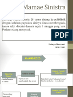 ppt blok 24