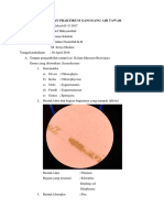 Laporan Praktikum Ganggang Air Tawar