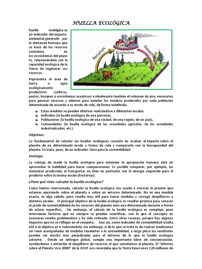 Huella Ecológica | PDF | Naturaleza | Entorno natural