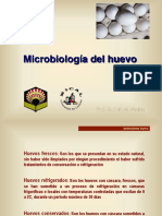 Microbiologia Huevo (1)