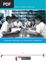 Programa Curricular Educacion Secundaria
