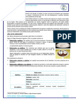 000000_Ficha Edulcorantes.pdf
