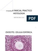 primerparcialpracticohistologia-130515102423-phpapp01.pdf