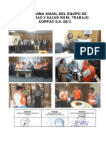 PROGRAMA ANUAL 2013.pdf