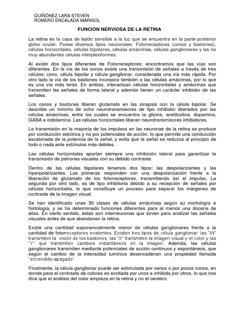 Resumen Función Nerviosa De La Retina Visual Perception