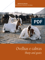 publica_setec_ovelhas_cabras.pdf