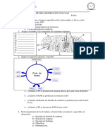 biologia. pruebaimedio. respiracion_celular.pdf