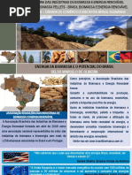 Celso Oliveira - A Energia Da Biomassa e o Potencial Do Brasil