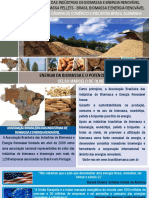 Celso Oliveira - A Energia Da Biomassa e o Potencial Do Brasil