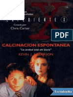 Calcinacion Espontanea - Kevin J. Anderson