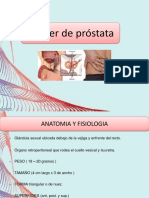 Cancer de Prostata EXPO