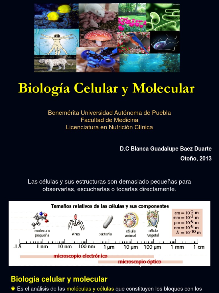 1. Introducción a La Biología Celular y Molecular | Biología Celular ...