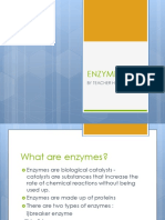 Chapter 3 - Enzymes