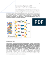 Anexo 2ADN PDF