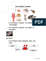 animales-crustaceos-y-moluscos.pdf