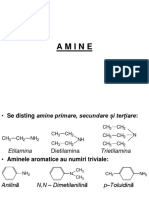 10 - Aminele