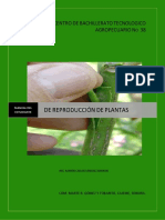 Manual de Reproduccion de Plantas