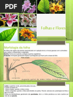 folhaseflores