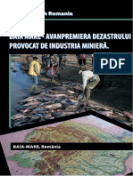 RaportBaiaMare MiningWatchRomania