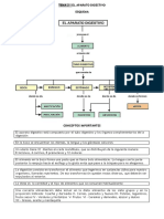 Test Aparato Digestivo Rect2a PDF