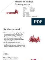 Karakteristik Biologi Bawang Merah