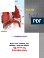 Efusi Pleura Fkuwks 2017