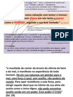 O papel do esforço humano no plano salvífico