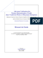 guide d'audit IFAC.pdf