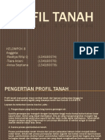 Profil Tanah kelompok(01).pptx