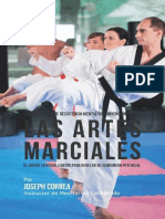 Artes Marciales Entrenamiento de Resistencia Me Joseph Correa Instructor de Me