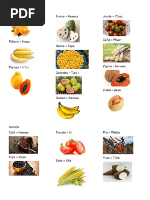 Frutas Y Verduras En Xinca Cocina Latinoamericana