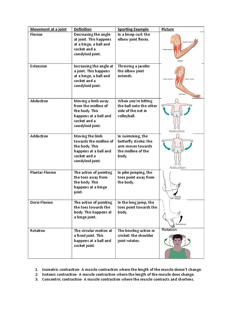 Movement at A Joint Sporting Example Picture PDF