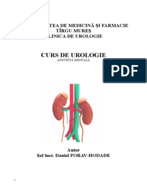 Ghid Pentru Stagiu Clinic de Urologie | PDF