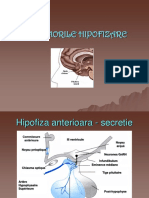 Hipofiza-generalitati, tumori.ppt