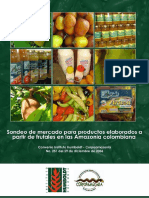 2007 Sondeo de Mercado de Frutales Amazonicos
