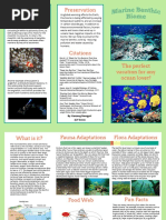 Kunzang's Marine Benthic Travel Brochure