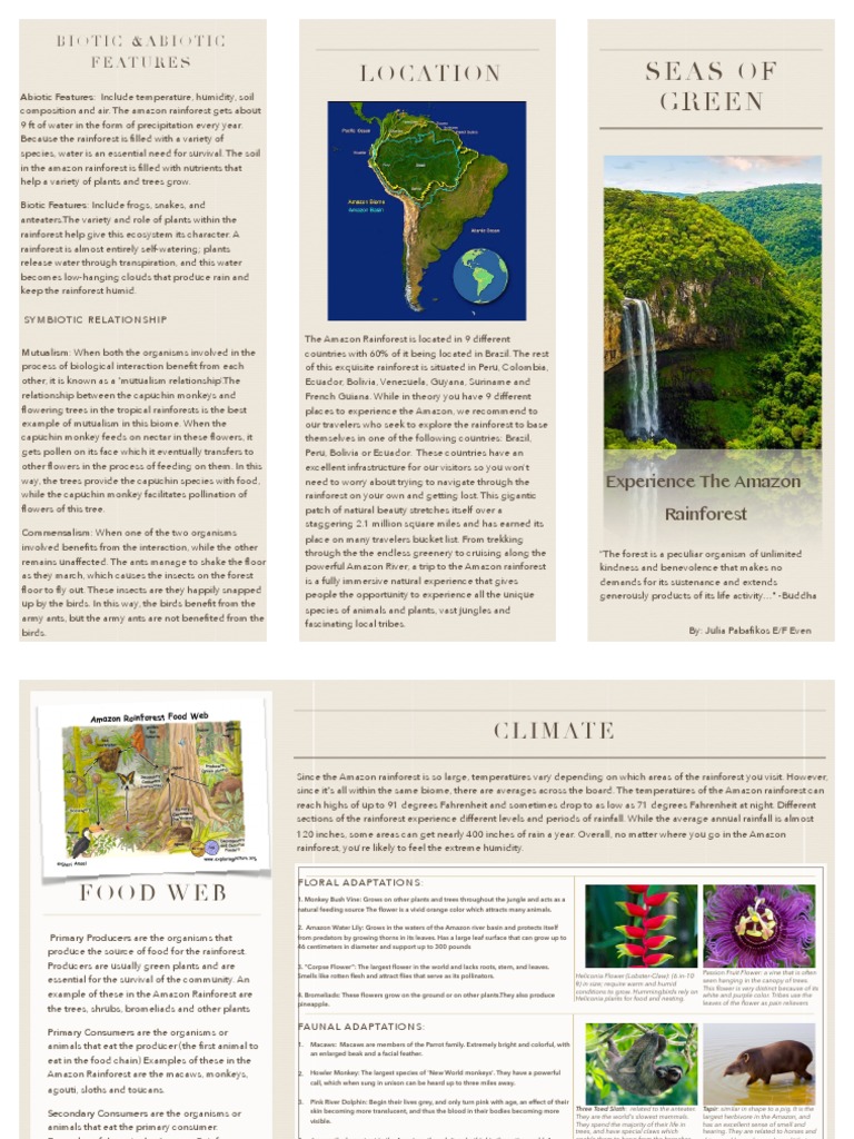 Amazon Rainforest Travel Guide | PDF | Rainforest | Flowers
