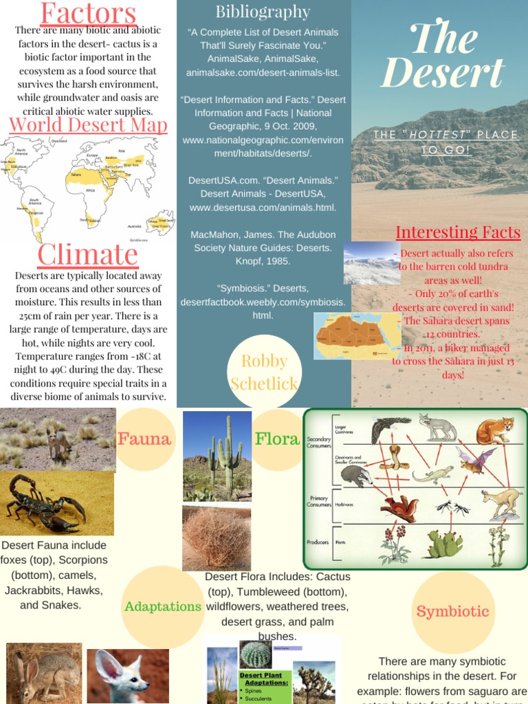 biome travel brochure template