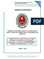 TDR - Perfil Tco. Pavimento y - Sameamiento Jr. Miguel Grau y Otros.
