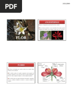 Aula 9 - Morfologia de Angiosperm As - Flor, Fruto e Sementex