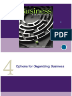 PP CH 4 Options For Organizing Business