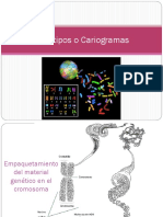 Cariotipos o Cariogramas.pdf