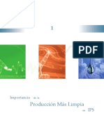 capitulo 1. Importancia de la Producción mas limpia en IPS.pdf