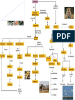 Mapa Conceptual de Ecosistemas