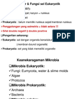 Struktur & Fungsi Sel Eukaryotik: Penggolongan Yang Asimetris Tidak Setara !!!