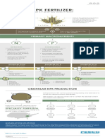 NPK Fertilizer Infographic PDF