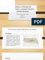 Analiza Și Strategia de Dezvoltare A Comunei Făcăeni