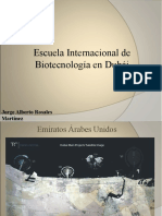 Proyecto Terminal II