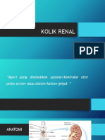 Kolik Renal